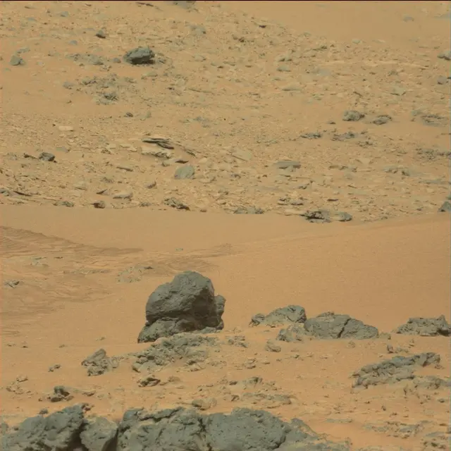 Sol 111: Mast Camera (Mastcam)