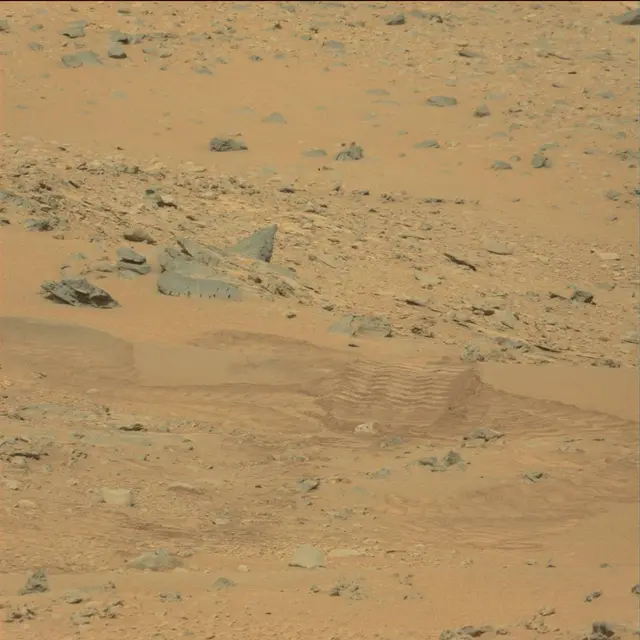 Sol 111: Mast Camera (Mastcam)