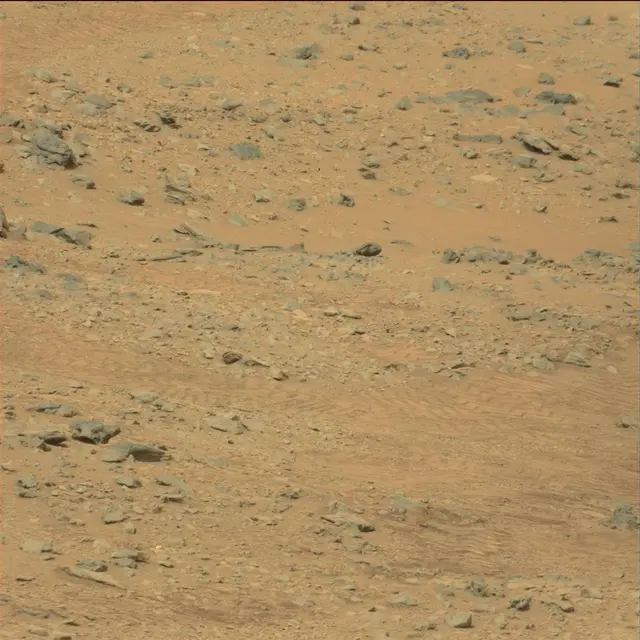 Sol 111: Mast Camera (Mastcam)