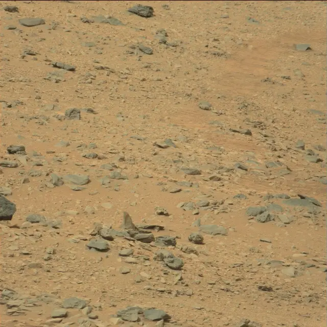 Sol 111: Mast Camera (Mastcam)