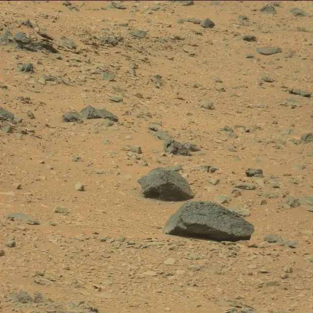 Sol 111: Mast Camera (Mastcam)
