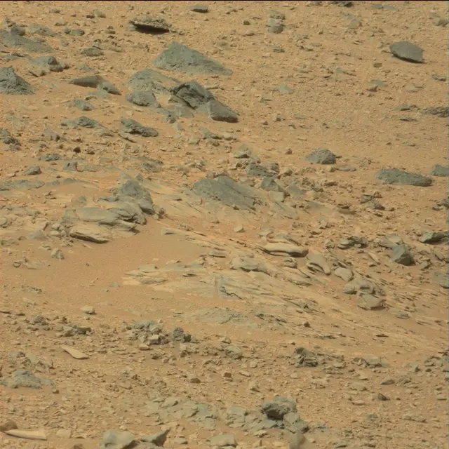 Sol 111: Mast Camera (Mastcam)