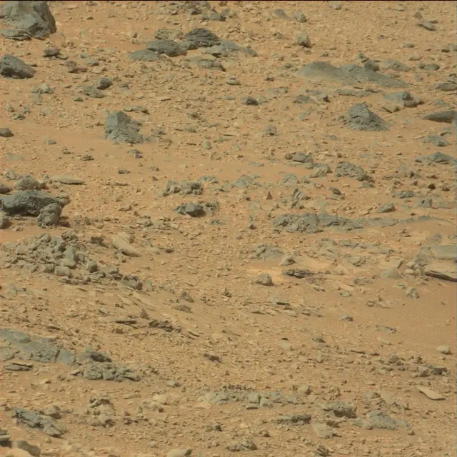 Sol 111: Mast Camera (Mastcam)