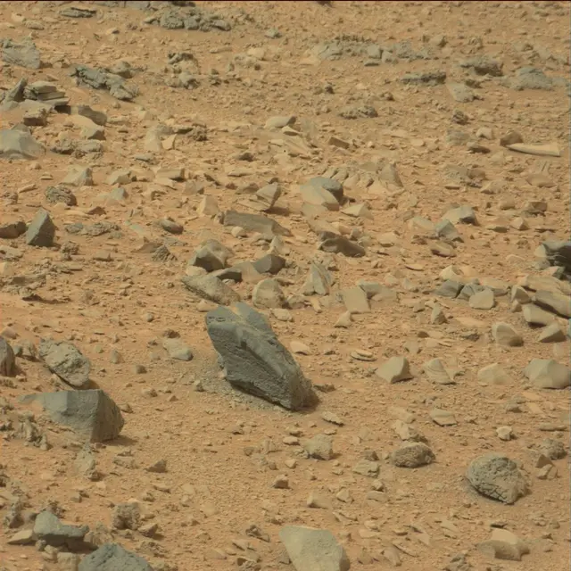 Sol 111: Mast Camera (Mastcam)