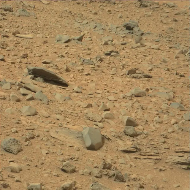 Sol 111: Mast Camera (Mastcam)