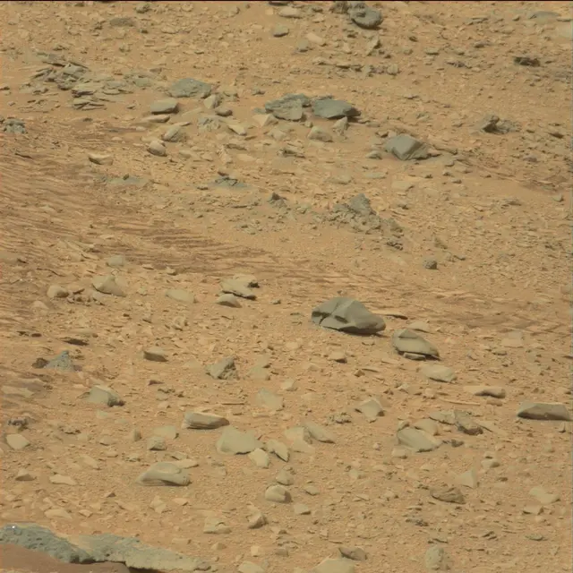 Sol 111: Mast Camera (Mastcam)