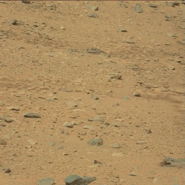 Sol 111: Mast Camera (Mastcam)