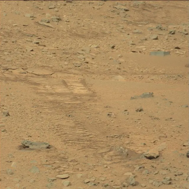 Sol 111: Mast Camera (Mastcam)