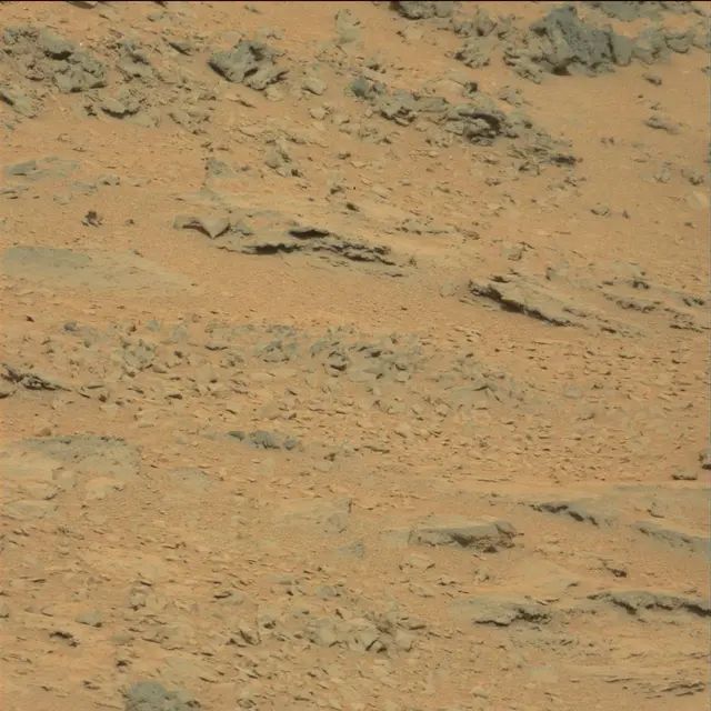 Sol 111: Mast Camera (Mastcam)