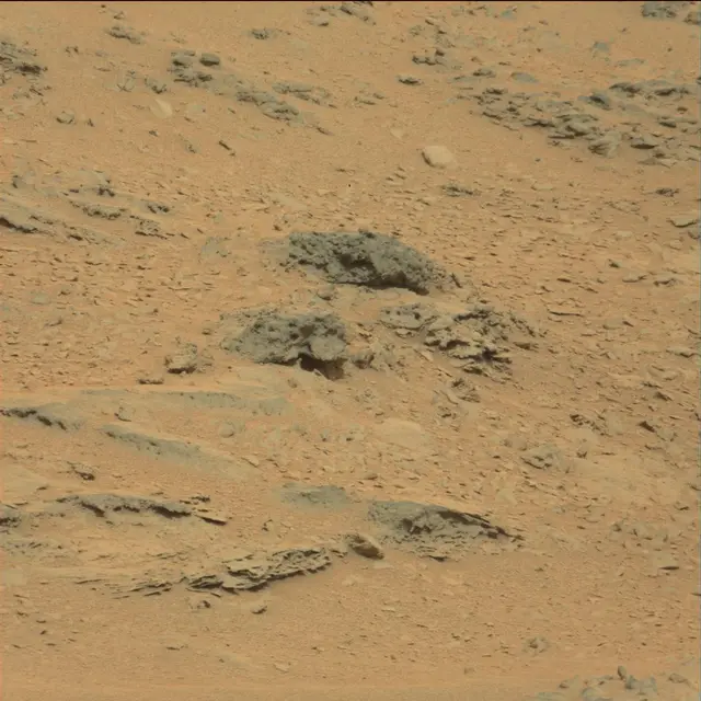 Sol 111: Mast Camera (Mastcam)