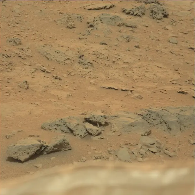 Sol 111: Mast Camera (Mastcam)