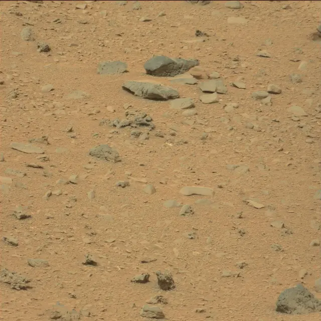 Sol 111: Mast Camera (Mastcam)