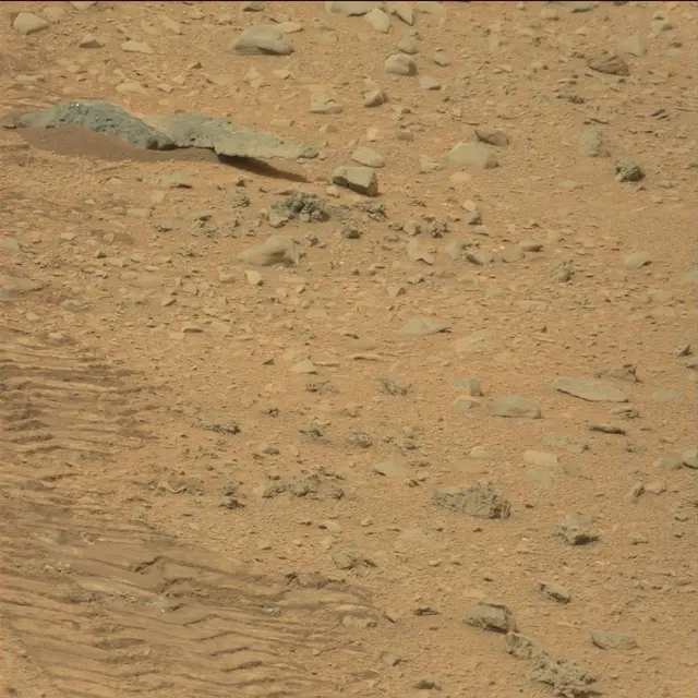 Sol 111: Mast Camera (Mastcam)