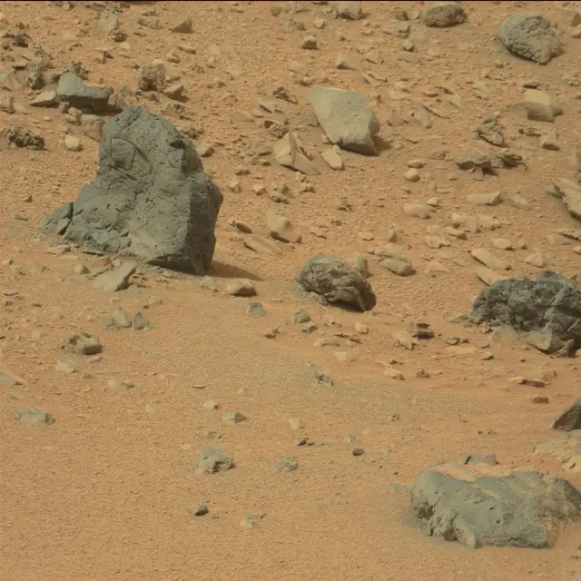 Sol 111: Mast Camera (Mastcam)