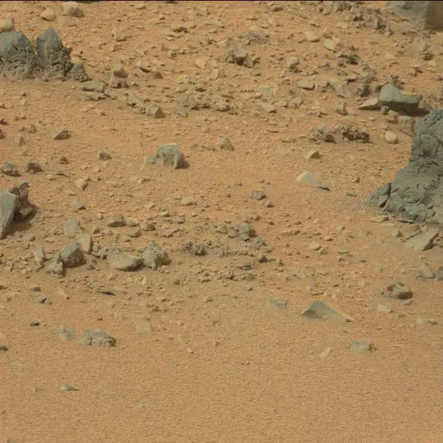 Sol 111: Mast Camera (Mastcam)