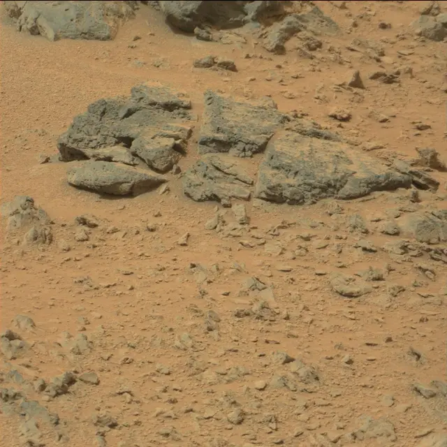 Sol 111: Mast Camera (Mastcam)