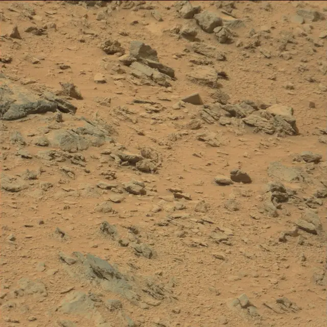 Sol 111: Mast Camera (Mastcam)