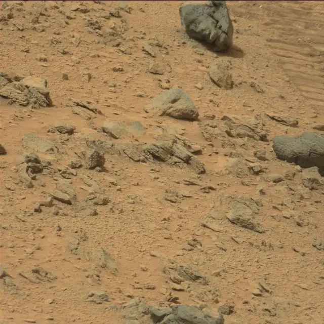 Sol 111: Mast Camera (Mastcam)