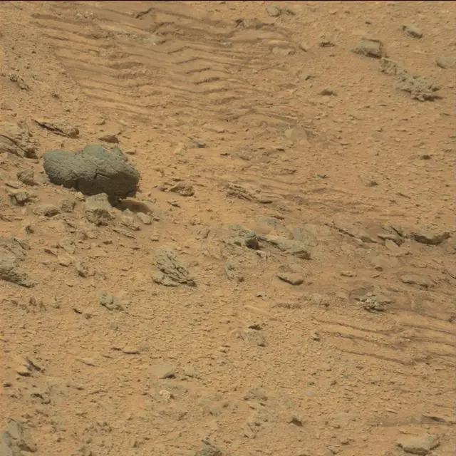 Sol 111: Mast Camera (Mastcam)