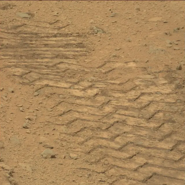 Sol 111: Mast Camera (Mastcam)