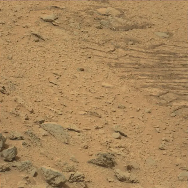 Sol 111: Mast Camera (Mastcam)