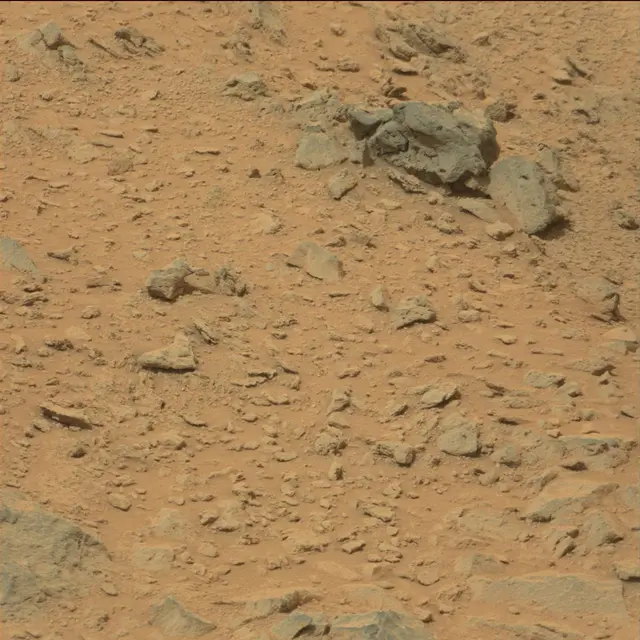 Sol 111: Mast Camera (Mastcam)