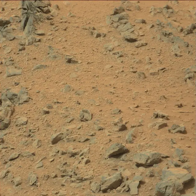 Sol 111: Mast Camera (Mastcam)