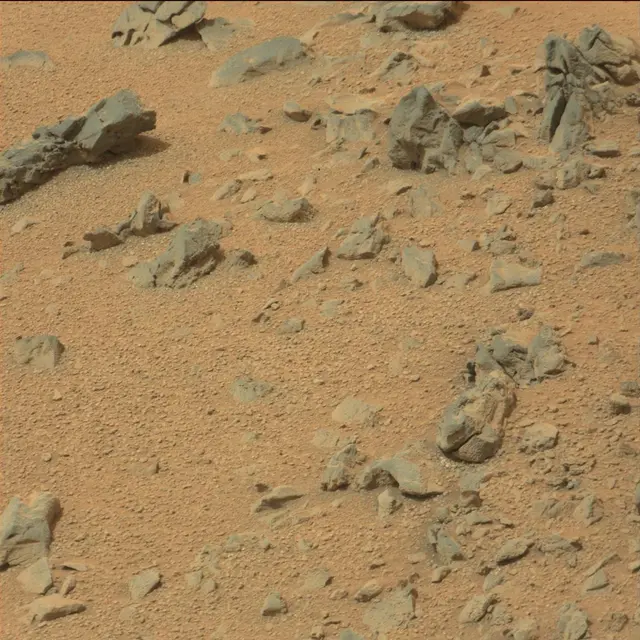 Sol 111: Mast Camera (Mastcam)