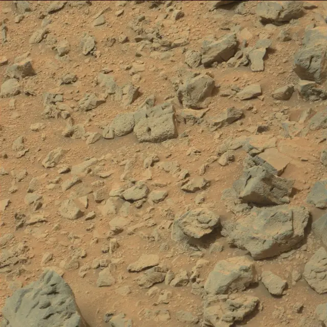 Sol 111: Mast Camera (Mastcam)