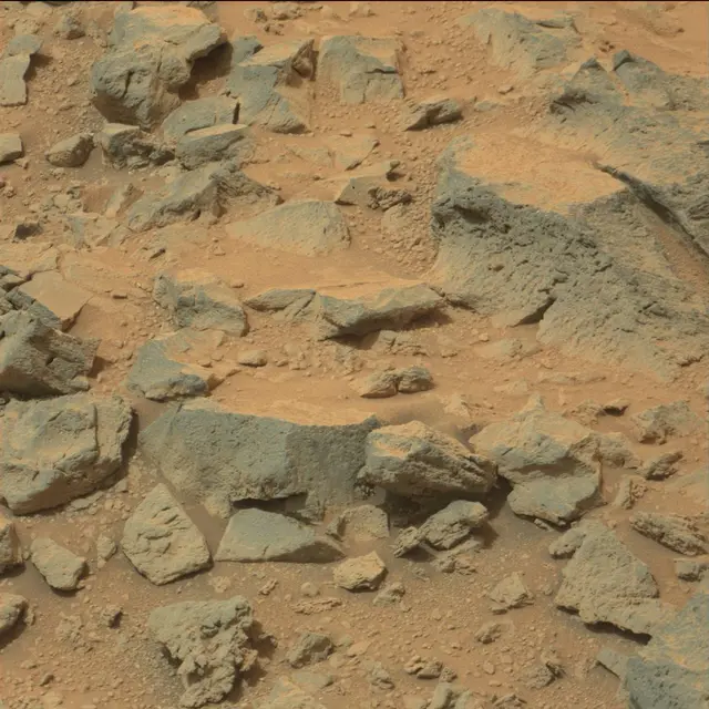 Sol 111: Mast Camera (Mastcam)