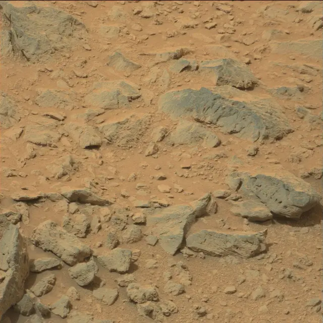 Sol 111: Mast Camera (Mastcam)
