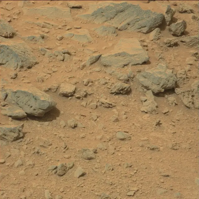 Sol 111: Mast Camera (Mastcam)