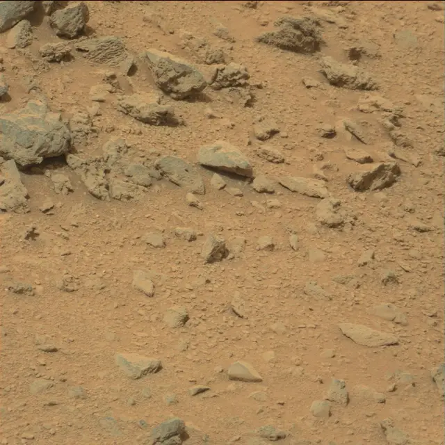 Sol 111: Mast Camera (Mastcam)