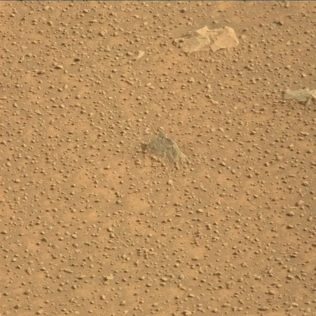 Sol 111: Mast Camera (Mastcam)