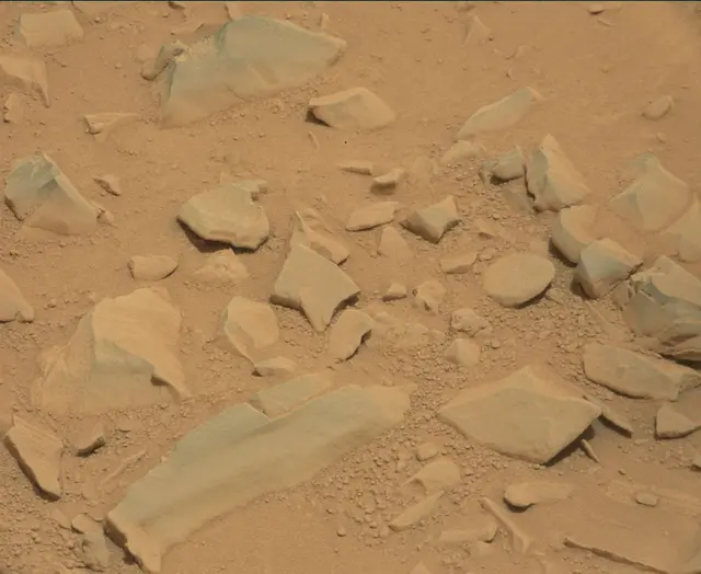 Sol 112: Mast Camera (Mastcam)