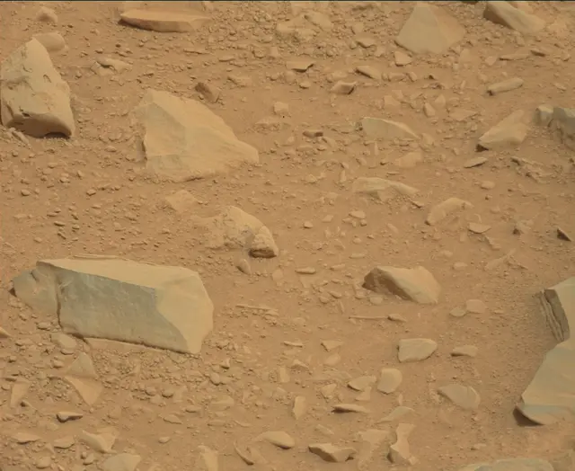 Sol 112: Mast Camera (Mastcam)