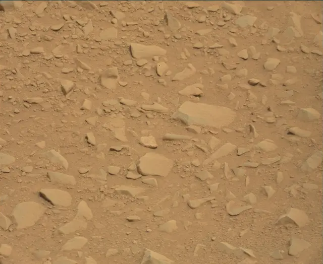 Sol 112: Mast Camera (Mastcam)