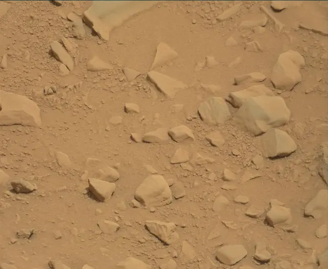 Sol 112: Mast Camera (Mastcam)