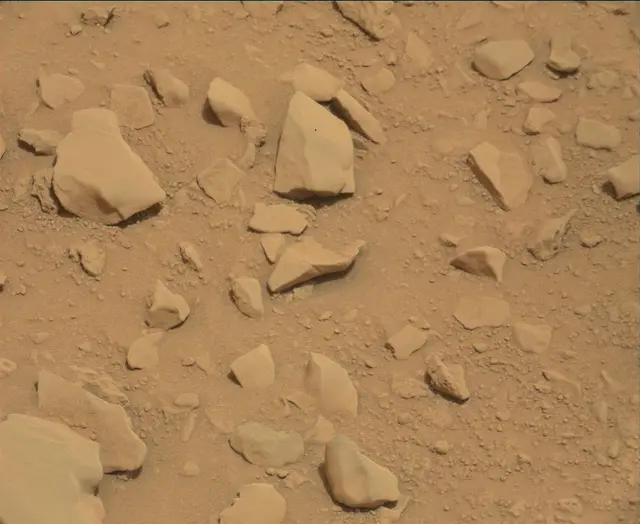 Sol 112: Mast Camera (Mastcam)
