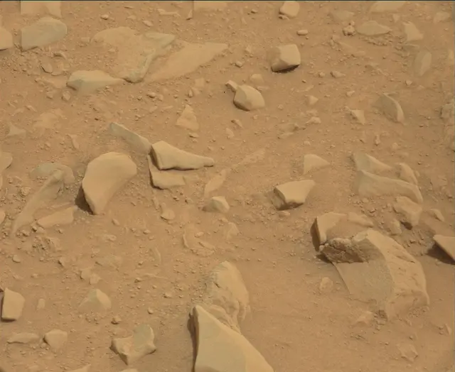 Sol 112: Mast Camera (Mastcam)