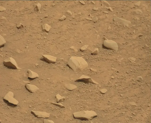 Sol 112: Mast Camera (Mastcam)