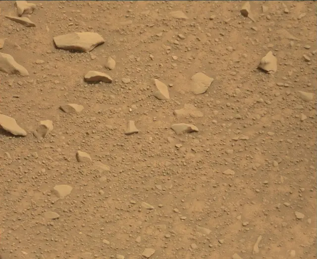 Sol 112: Mast Camera (Mastcam)