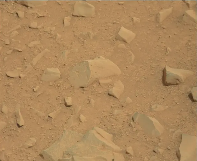 Sol 112: Mast Camera (Mastcam)
