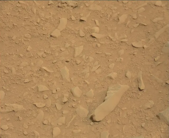 Sol 112: Mast Camera (Mastcam)
