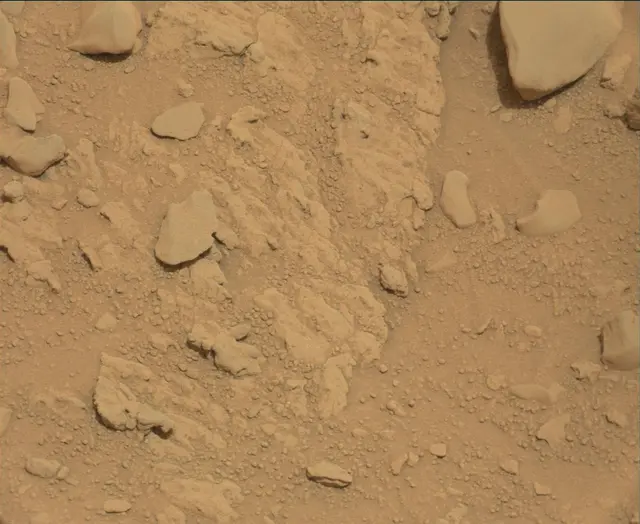 Sol 112: Mast Camera (Mastcam)