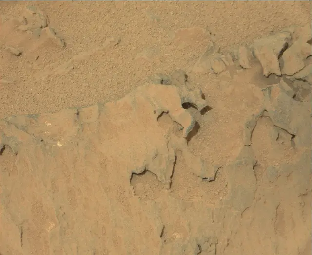 Sol 113: Mast Camera (Mastcam)