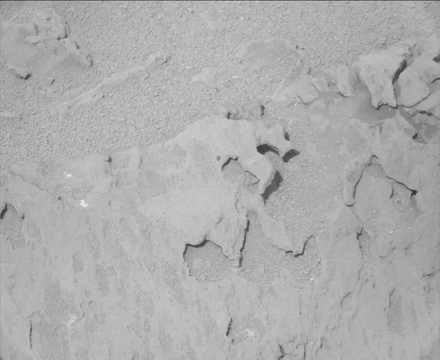 Sol 113: Mast Camera (Mastcam)