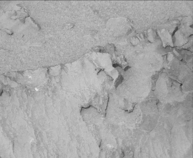 Sol 113: Mast Camera (Mastcam)
