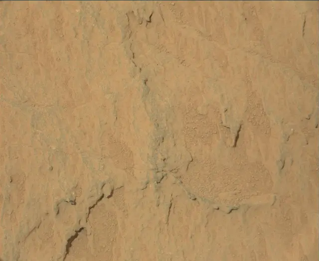 Sol 113: Mast Camera (Mastcam)