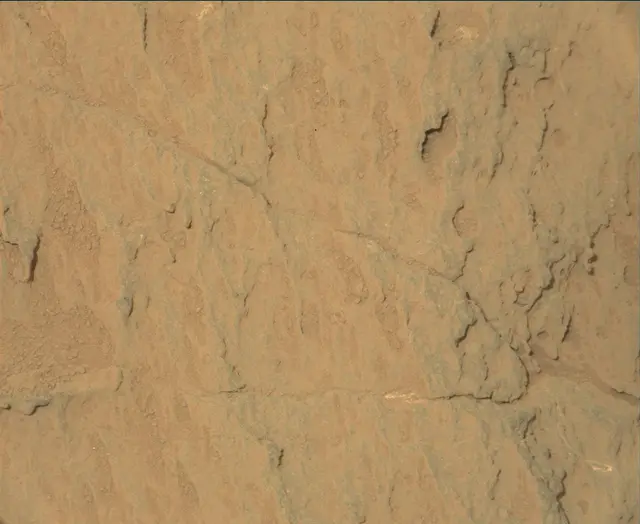 Sol 113: Mast Camera (Mastcam)